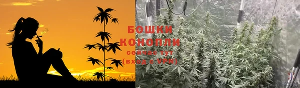 СК Алзамай