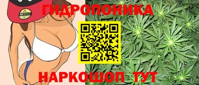 ГАЛЛЮЦИНОГЕННЫЕ ГРИБЫ Заводоуковск