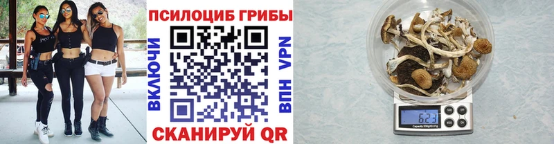 kraken маркетплейс  Мытищи  Псилоцибиновые грибы GOLDEN TEACHER 