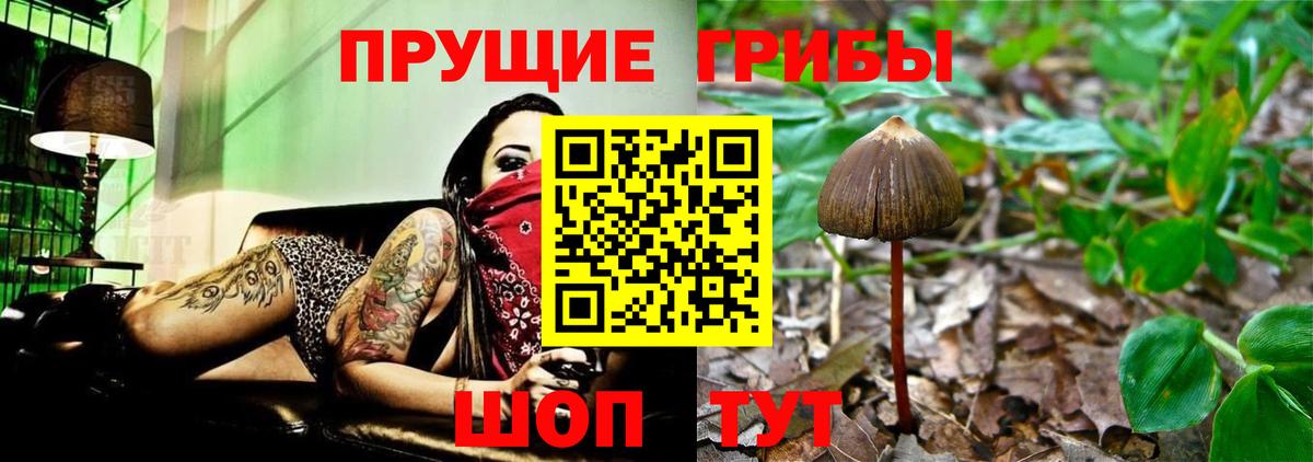 Галлюциногенные грибы GOLDEN TEACHER Мытищи