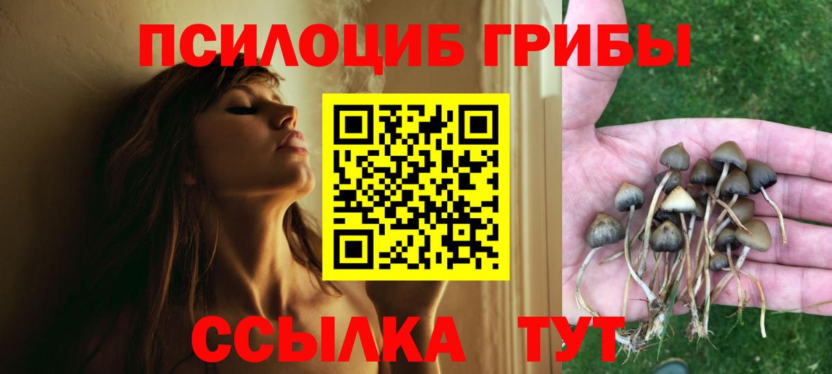 Мытищи  Галлюциногенные грибы Cubensis  Вход с VPN  Псилоцибиновые грибы MAGIC MUSHROOMS 